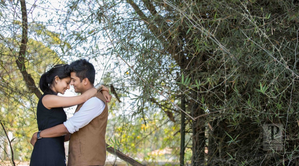 wide shot of the couple in bamboo thicket